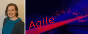 AgilePM – Towards Intelligent Mobility